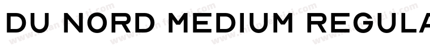 Du Nord Medium Regular字体转换